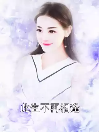 此生不再相逢小说