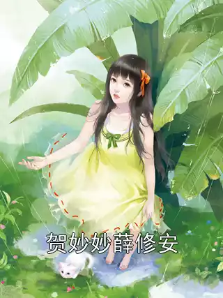 贺妙妙薛修安小说