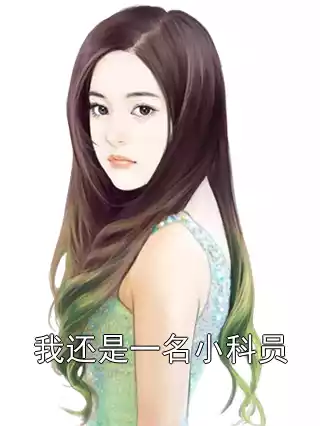 我还是一名小科员