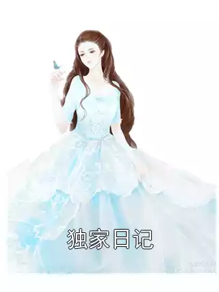 独家日记小说
