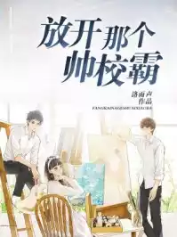 放开那个帅校霸小说