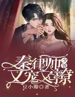 秦律师少爷又宠又撩小说