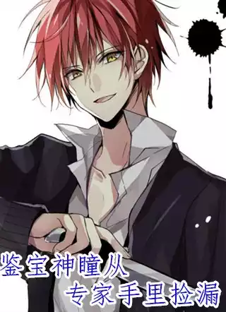 鉴宝神瞳从专家手里捡漏小说