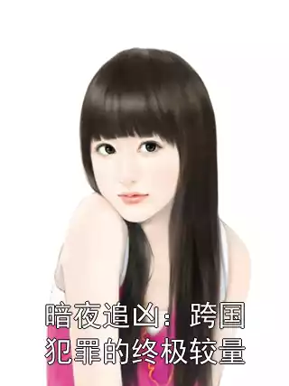 暗夜追凶：跨国犯罪的终极较量小说