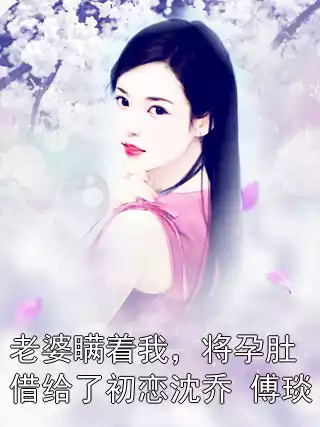 老婆瞒着我，将孕肚借给了初恋沈乔 傅琰小说