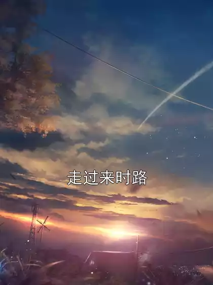 走过来时路小说