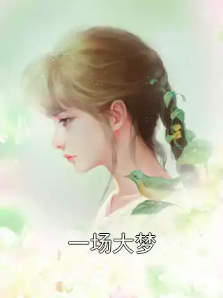 一场大梦小说