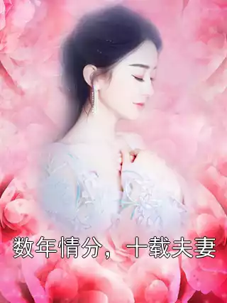 数年情分，十载夫妻小说