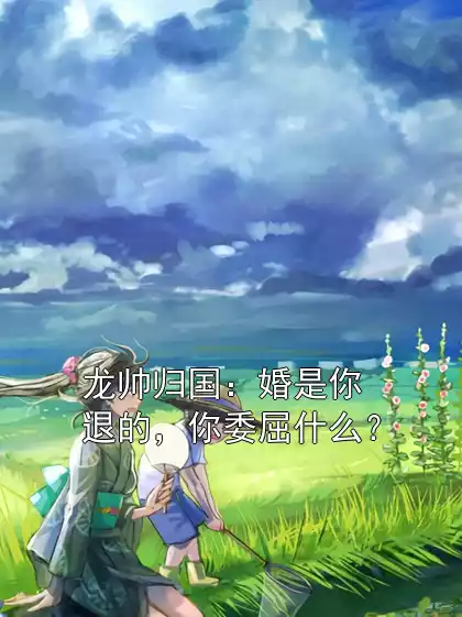 龙帅归国：婚是你退的，你委屈什么？小说