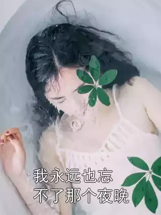 我永远也忘不了那个夜晚小说