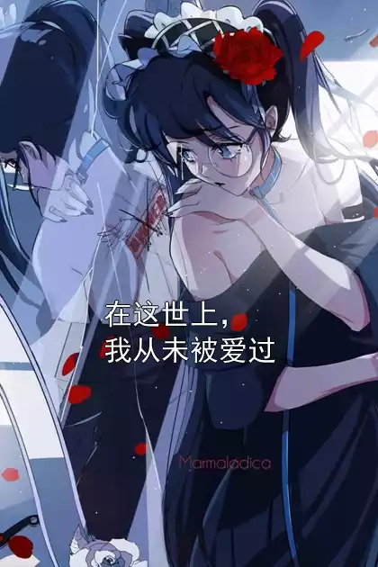 在这世上，我从未被爱过小说