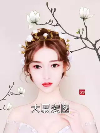 大展宏图小说