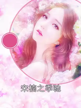 宋楠之季驰小说