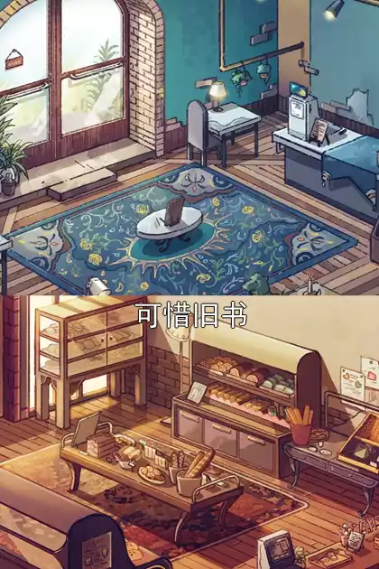 可惜旧书小说