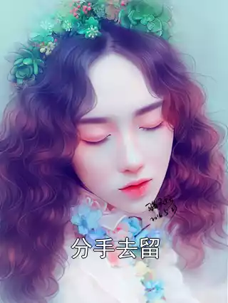 分手去留小说