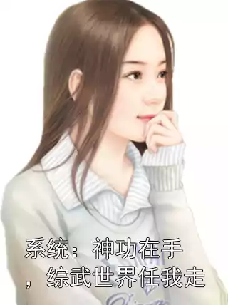 系统：神功在手，综武世界任我走