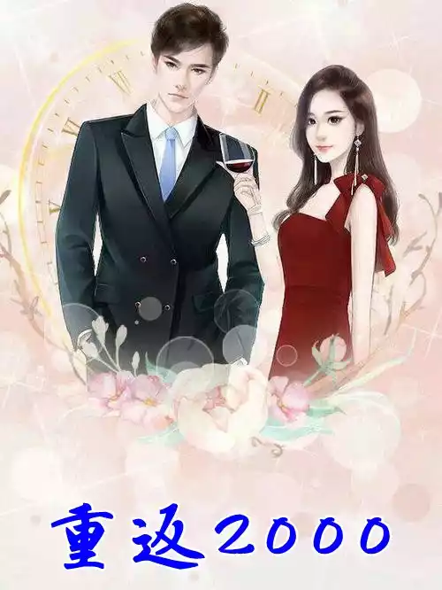 重返2000小说小说