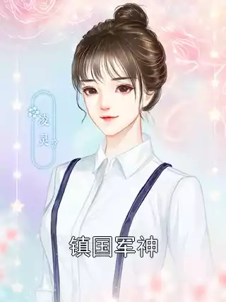镇国军神小说
