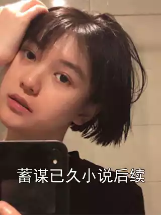 蓄谋已久小说后续小说