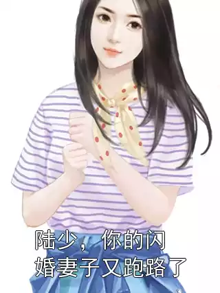陆少，你的闪婚妻子又跑路了小说