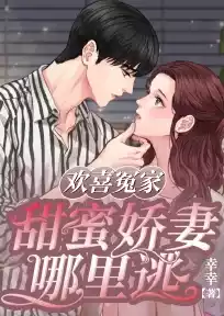 欢喜冤家甜蜜娇妻哪里逃小说