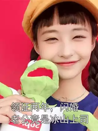 领证两年，闪婚老公竟是冰山上司小说
