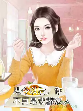 从今以后，你不再是我穆家人小说