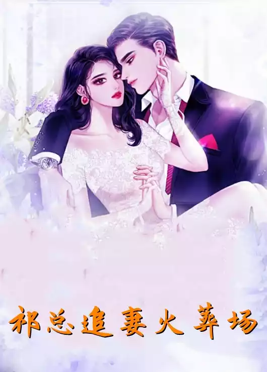 祁总追妻火葬场小说