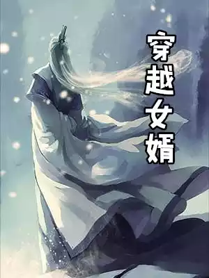 穿越女婿