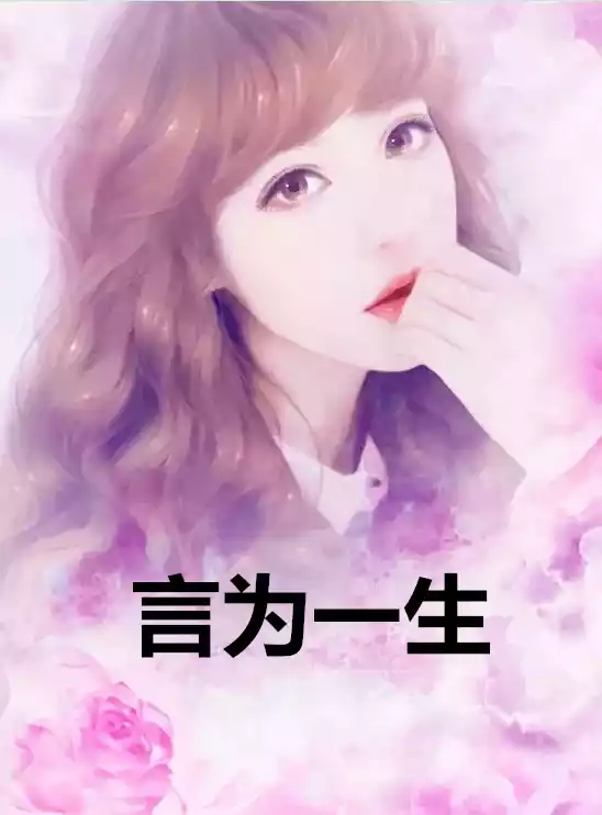 言为一生小说