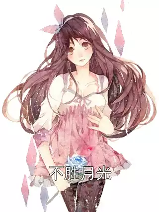 不胜月光