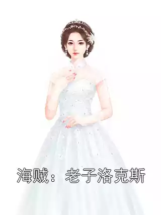 海贼：老子洛克斯小说