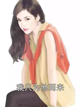 我只为他而来小说