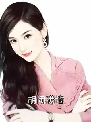 胡闹满墙小说