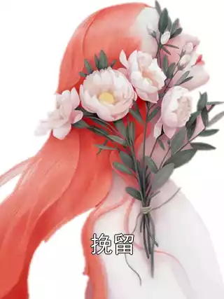 挽留小说