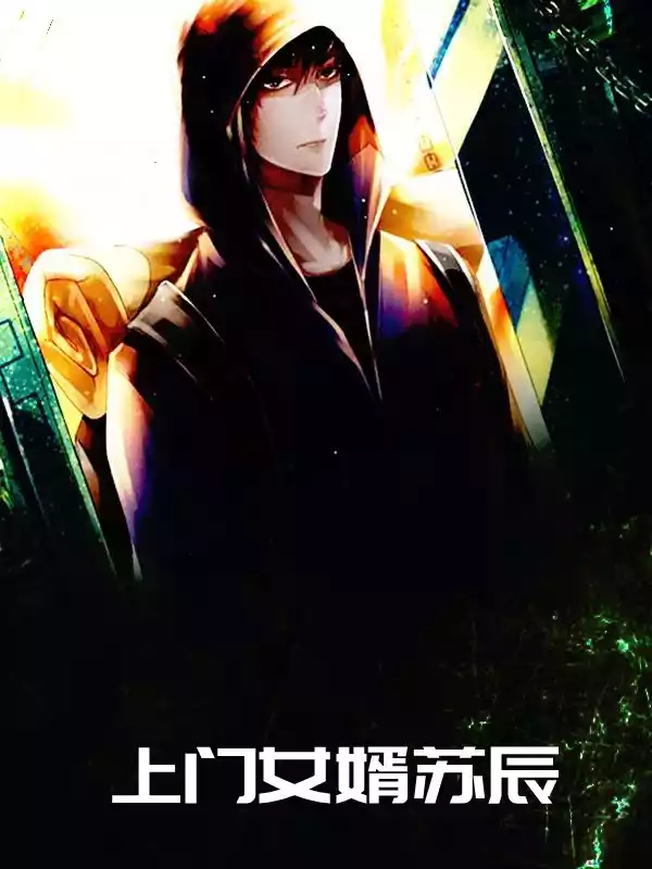 上门女婿苏辰小说