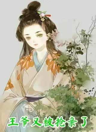 王爷又被抢亲了小说
