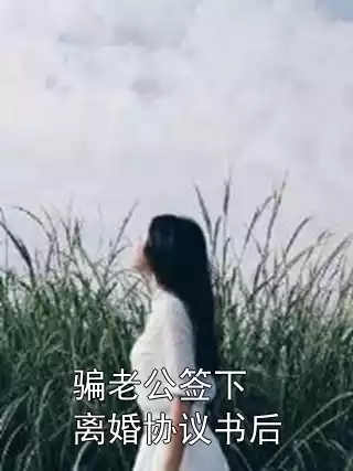 骗老公签下离婚协议书后小说