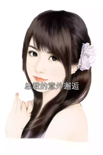 总裁的意外邂逅小说