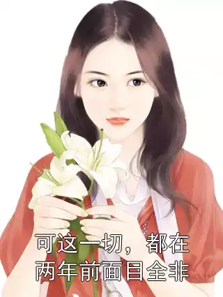 可这一切，都在两年前面目全非小说