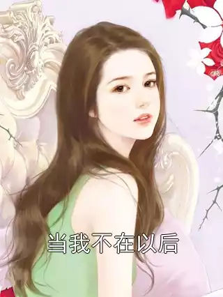当我不在以后小说