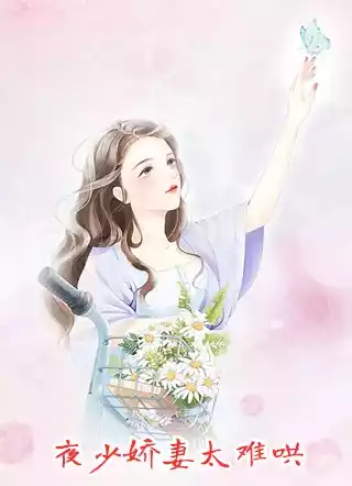 夜少娇妻太难哄小说