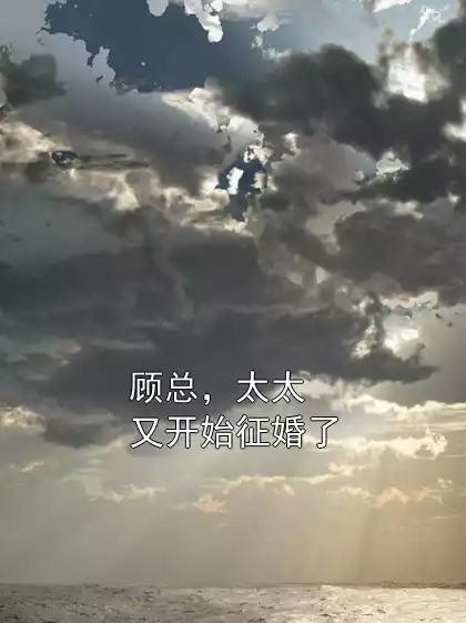 顾总，太太又开始征婚了小说