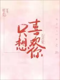 只想喜欢你小说