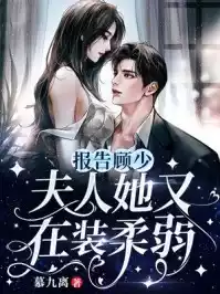 报告顾少夫人她又在装柔弱小说