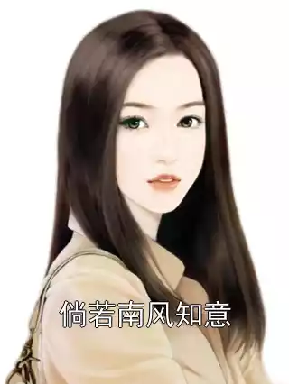 倘若南风知意小说