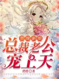替嫁新娘总裁老公宠上天