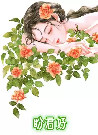 盼君好小说