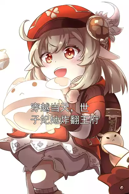 穿越当天，世子妃她炸翻王府小说