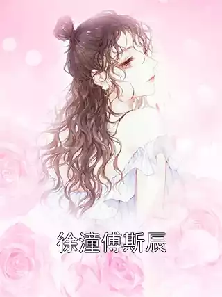 徐潼傅斯辰小说